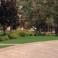 Outdoor Carpet Catherine, Colorado Landscape Rock, Backyard Landscaping Ideas