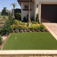 Outdoor Carpet Derby, Colorado Design Ideas, Front Yard Landscaping