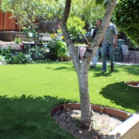 Outdoor Carpet Manzanola, Colorado Landscape Design, Backyard Landscape Ideas