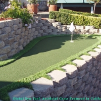 Plastic Grass Berkley, Colorado Backyard Putting Green, Backyard