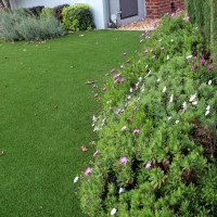 Plastic Grass Elbert, Colorado Design Ideas, Small Front Yard Landscaping