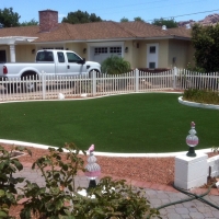 Synthetic Grass Cost Alma, Colorado Landscaping, Front Yard