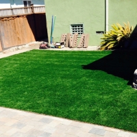 Synthetic Grass Eldorado Springs, Colorado Dog Run, Backyard Designs