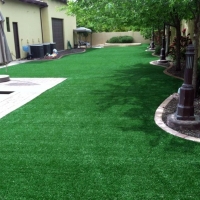 Synthetic Grass Holly, Colorado Landscaping Business, Backyards