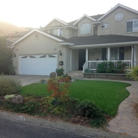 Synthetic Grass Meridian, Colorado City Landscape, Front Yard Design