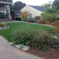 Synthetic Grass Roxborough Park, Colorado Backyard Playground, Front Yard Landscape Ideas