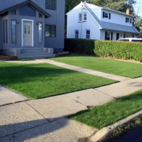 Synthetic Lawn Holly, Colorado Landscaping, Front Yard Landscape Ideas