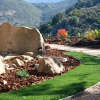 Synthetic Lawn Pierce, Colorado Backyard Playground, Small Front Yard Landscaping