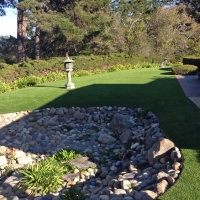 Synthetic Turf Hayden, Colorado Cat Grass, Backyard Makeover