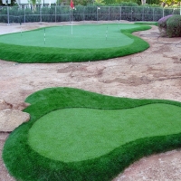 Synthetic Turf Sherrelwood, Colorado Landscape Photos, Front Yard