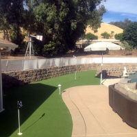 Synthetic Turf Supplier Edgewater, Colorado Landscape Design, Backyard Ideas