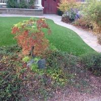 Turf Grass Denver, Colorado Landscaping, Front Yard