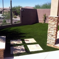 Turf Grass Ellicott, Colorado Design Ideas, Backyard Landscape Ideas