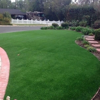 Turf Grass Gerrard, Colorado Rooftop, Front Yard Landscape Ideas