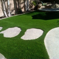 Turf Grass Hudson, Colorado Lawns, Pavers