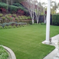 Turf Grass Ignacio, Colorado Pet Grass, Backyard Ideas