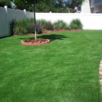 Turf Grass Lone Tree, Colorado Roof Top, Backyard