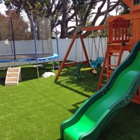 Turf Grass Perry Park, Colorado Landscape Rock, Backyard Makeover