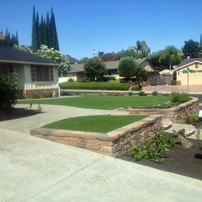 Artificial Grass Carpet Alamosa East, Colorado Landscape Design, Front Yard Landscape Ideas