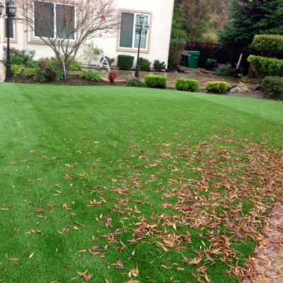 Artificial Grass Carpet Berkley, Colorado Lawns, Beautiful Backyards