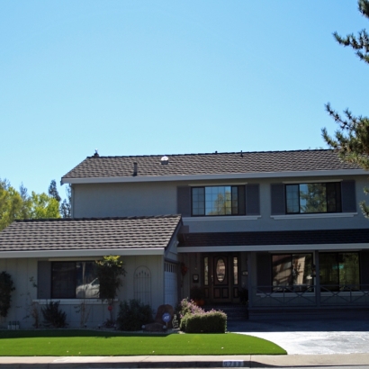 Artificial Grass Carpet Grand View Estates, Colorado Garden Ideas, Front Yard