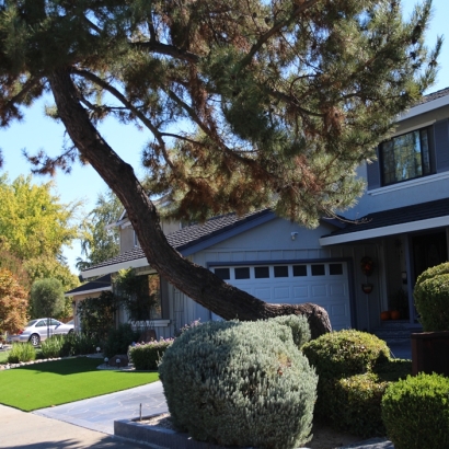 Artificial Grass Copper Mountain, Colorado Rooftop, Front Yard Landscape Ideas