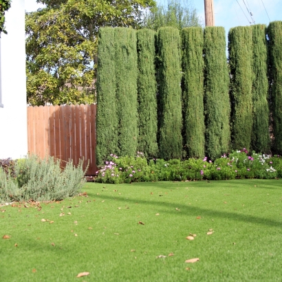 Artificial Grass Installation Campion, Colorado Gardeners, Front Yard Landscaping