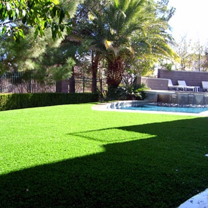 Artificial Grass Installation Cherry Hills Village, Colorado Landscape Photos, Backyard Landscaping Ideas