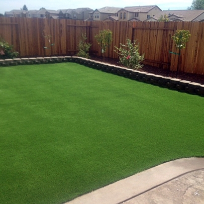 Artificial Grass Installation Clifton, Colorado Paver Patio, Backyard Ideas