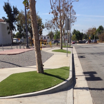 Artificial Lawn Derby, Colorado Lawns, Commercial Landscape