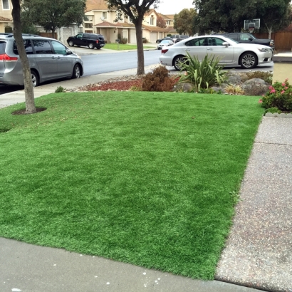 Artificial Lawn Platteville, Colorado Landscaping, Landscaping Ideas For Front Yard