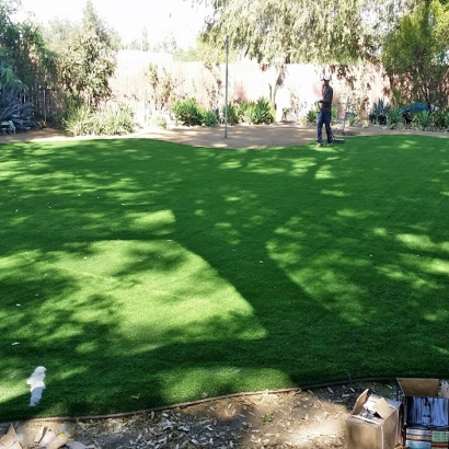 Artificial Lawn Woodland Park, Colorado Rooftop, Backyard Designs