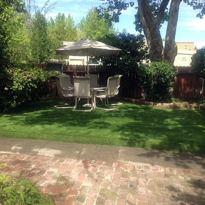 Artificial Turf Arboles, Colorado Roof Top, Backyard Landscape Ideas