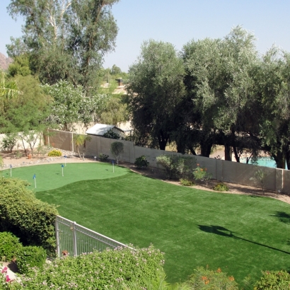 Artificial Turf Iliff, Colorado Landscape Rock, Beautiful Backyards