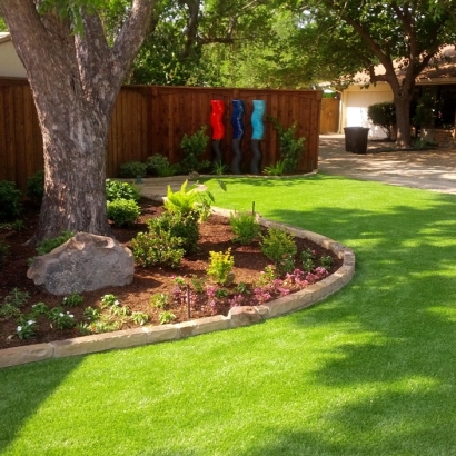 Artificial Turf Installation Sanford, Colorado Design Ideas, Backyard Landscaping