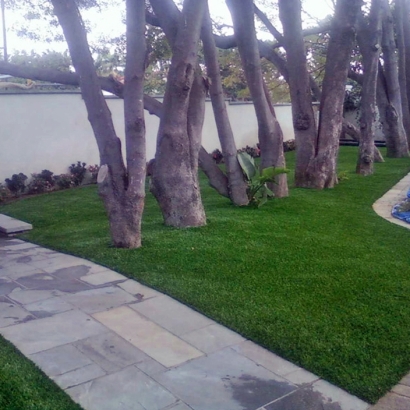 Artificial Turf Milliken, Colorado Garden Ideas, Front Yard Ideas