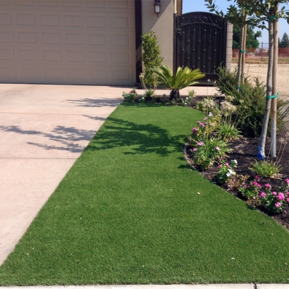 Best Artificial Grass Arvada, Colorado Home And Garden, Front Yard Landscaping Ideas