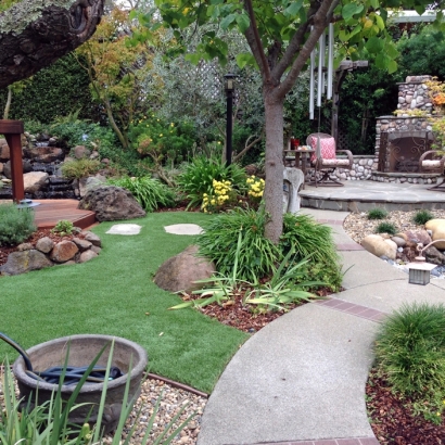 Best Artificial Grass Federal Heights, Colorado Gardeners, Backyard Makeover