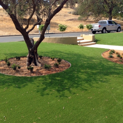 Best Artificial Grass Idledale, Colorado Gardeners, Front Yard