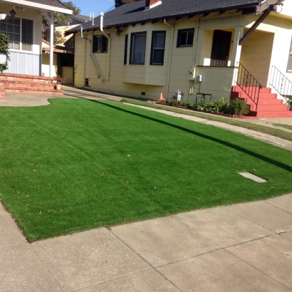 Best Artificial Grass Kittredge, Colorado Rooftop, Front Yard Design