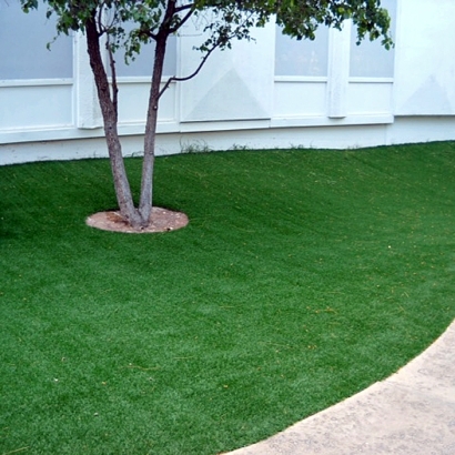 Best Artificial Grass La Veta, Colorado Landscape Ideas, Commercial Landscape