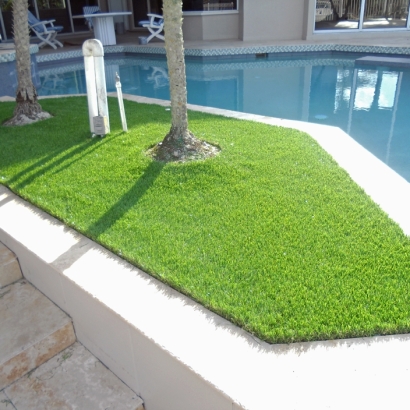 Best Artificial Grass Louviers, Colorado City Landscape, Backyard Designs