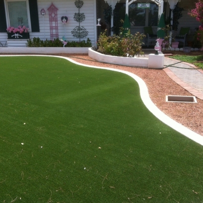 Best Artificial Grass Perry Park, Colorado Landscape Ideas, Front Yard