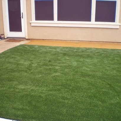 Fake Grass Altona, Colorado Garden Ideas, Backyard