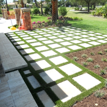 Fake Grass Edgewater, Colorado Garden Ideas, Backyard Landscape Ideas