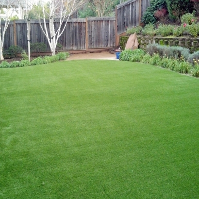 Fake Lawn Loma, Colorado Landscape Rock, Backyard Design