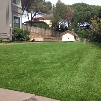 Fake Lawn Stratmoor, Colorado Putting Green, Backyard Landscaping