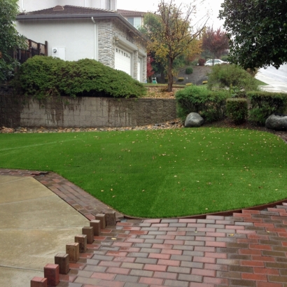 Fake Turf Fleming, Colorado Landscape Rock, Beautiful Backyards