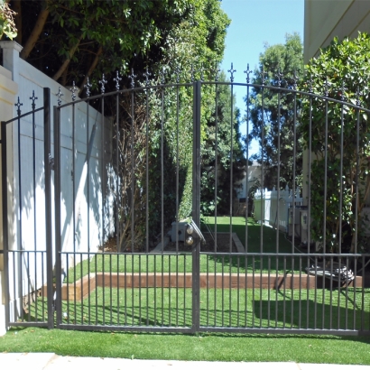 Faux Grass Genesee, Colorado Gardeners, Landscaping Ideas For Front Yard