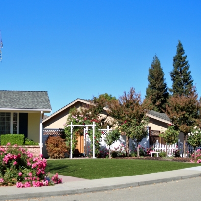 Faux Grass Pueblo West, Colorado Landscaping, Landscaping Ideas For Front Yard